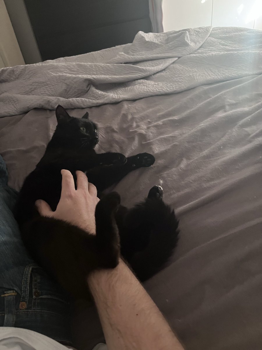 Dark pinpiiin 🐰 (@stan_striker) on Twitter photo 