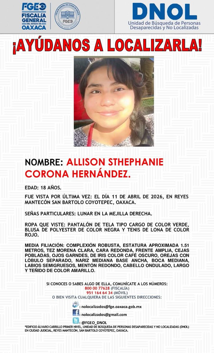 OAXACA AL DIA NOTICIAS tweet media