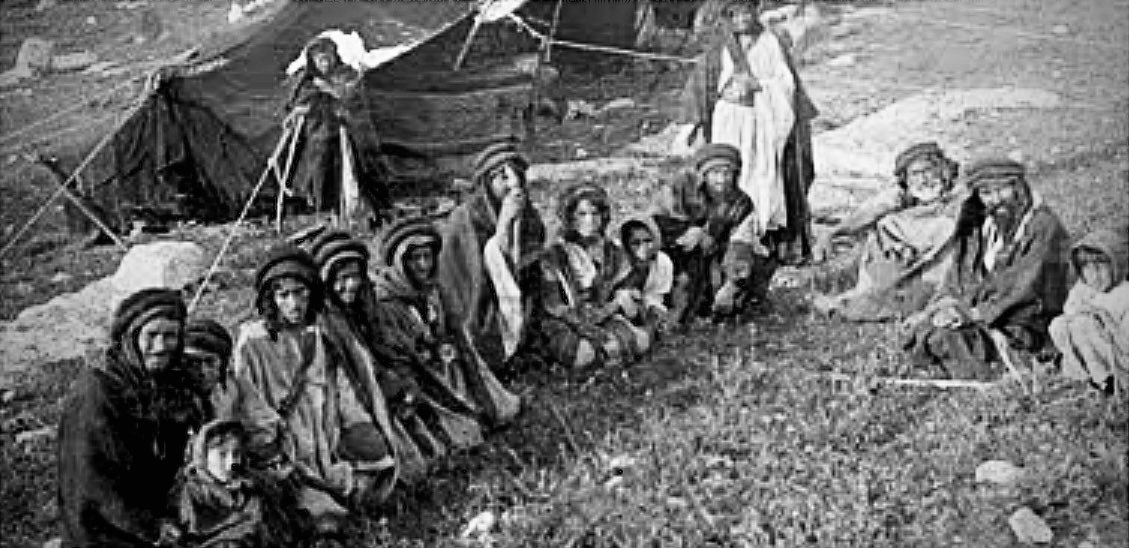 Nooraldeen𐢕𐢈𐢛 tweet media