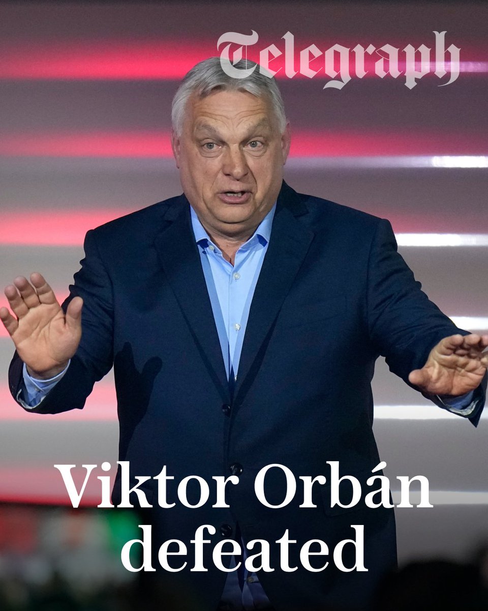 The Telegraph tweet media