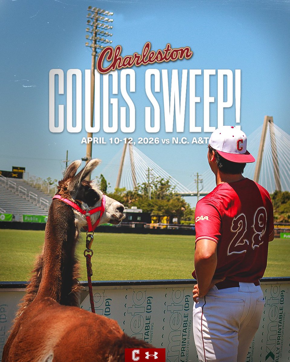 Charleston Baseball tweet media