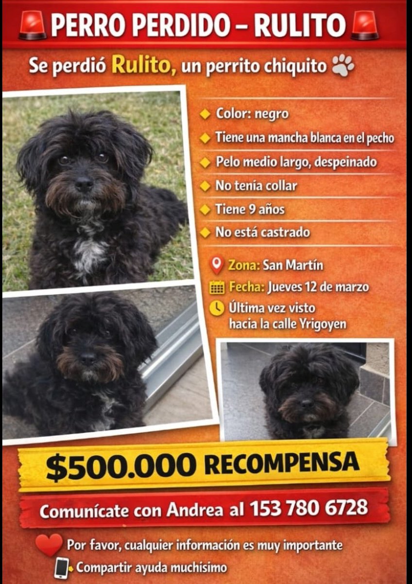 🇦🇷ᎴᎥᏓᏉᎥ𐒐λ 🇦🇷Syl🇦🇷 tweet media