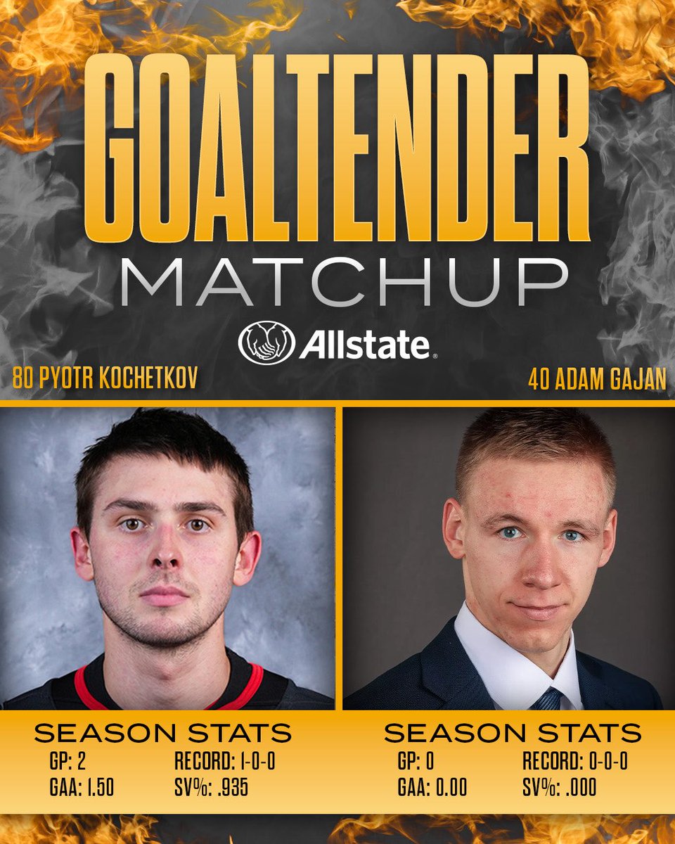 x- Chicago Wolves tweet media