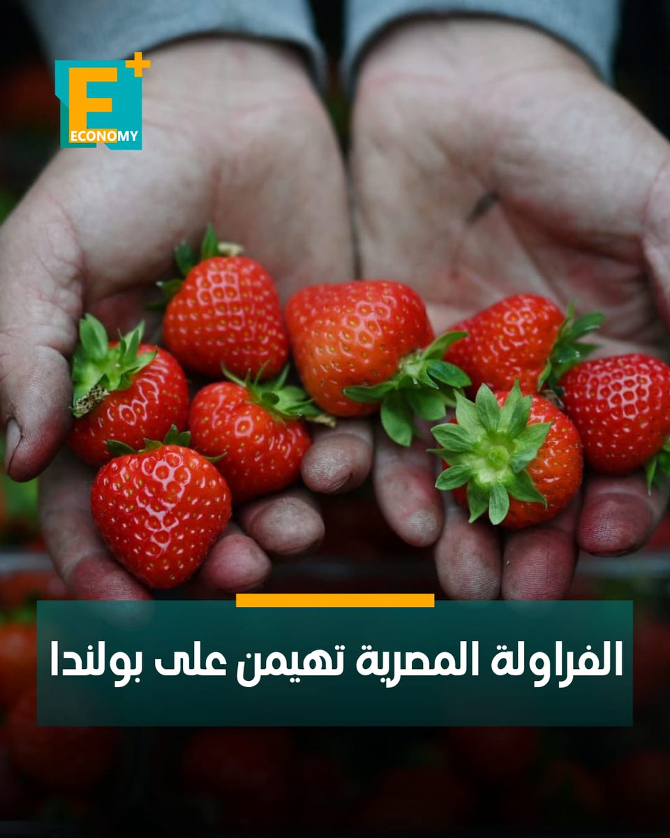 Economy Plus tweet media