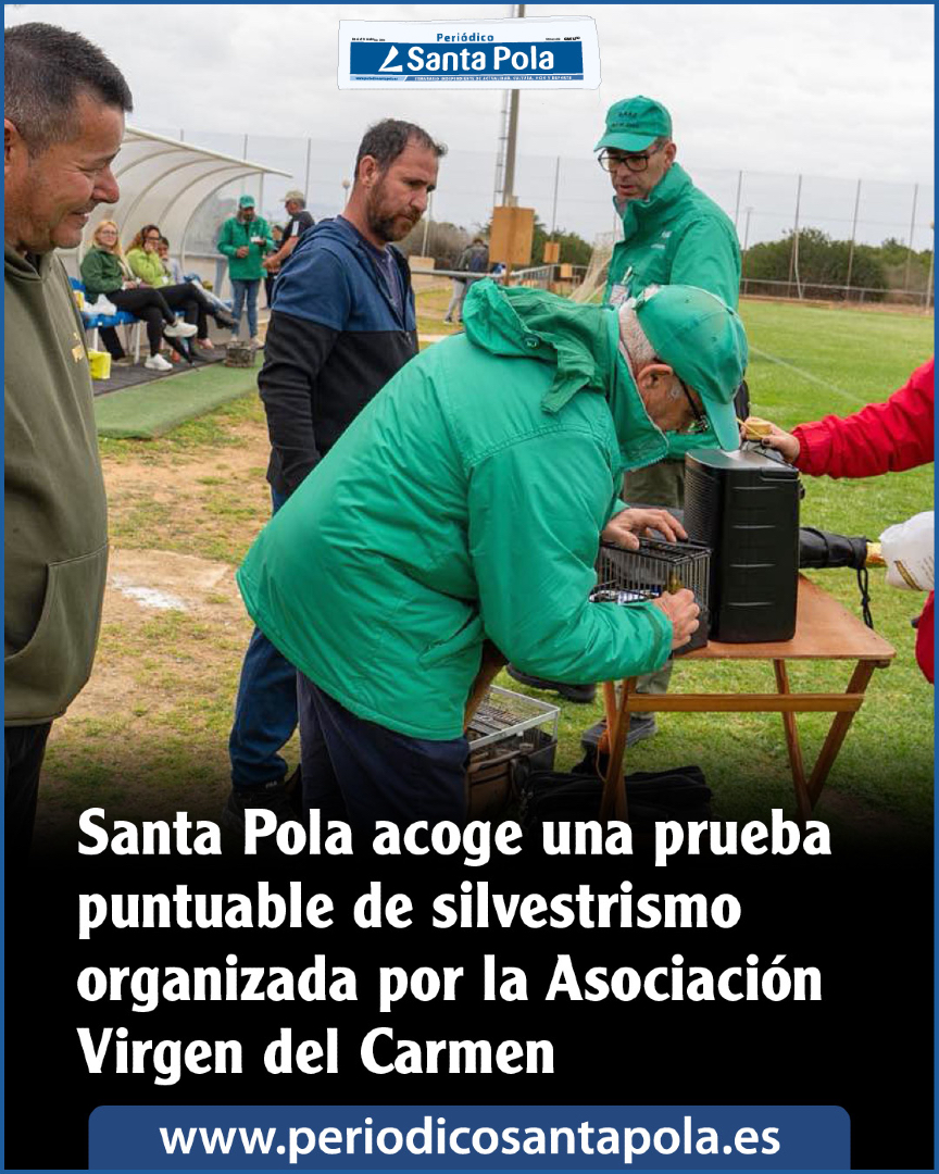 Periódico Santa Pola tweet media