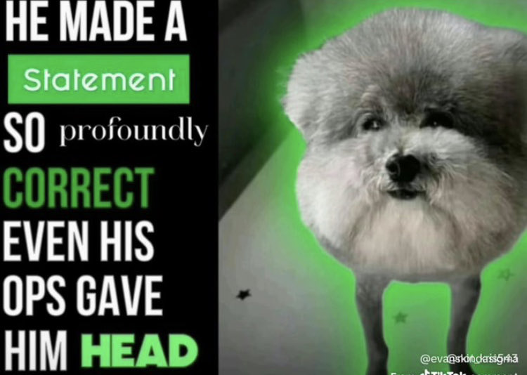 BlitzkriegLover1941 tweet media