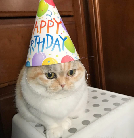 jra reactivated tweet media