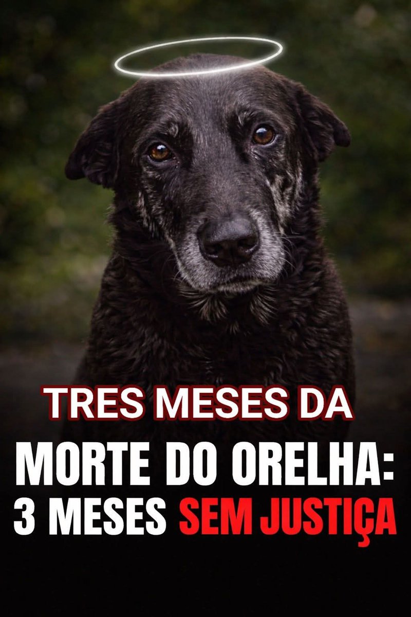 iti malias tweet media