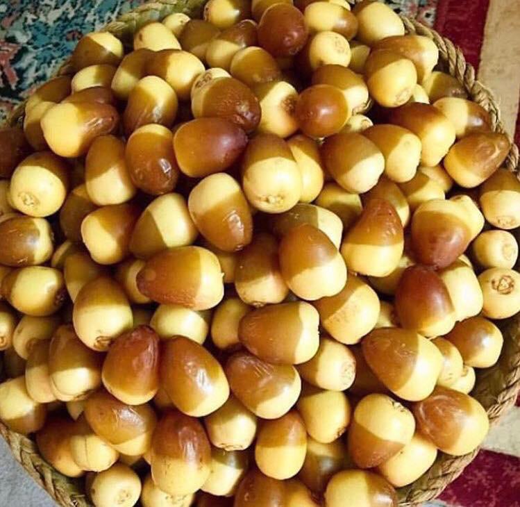 الزراعة العضوية🇸🇦 tweet media