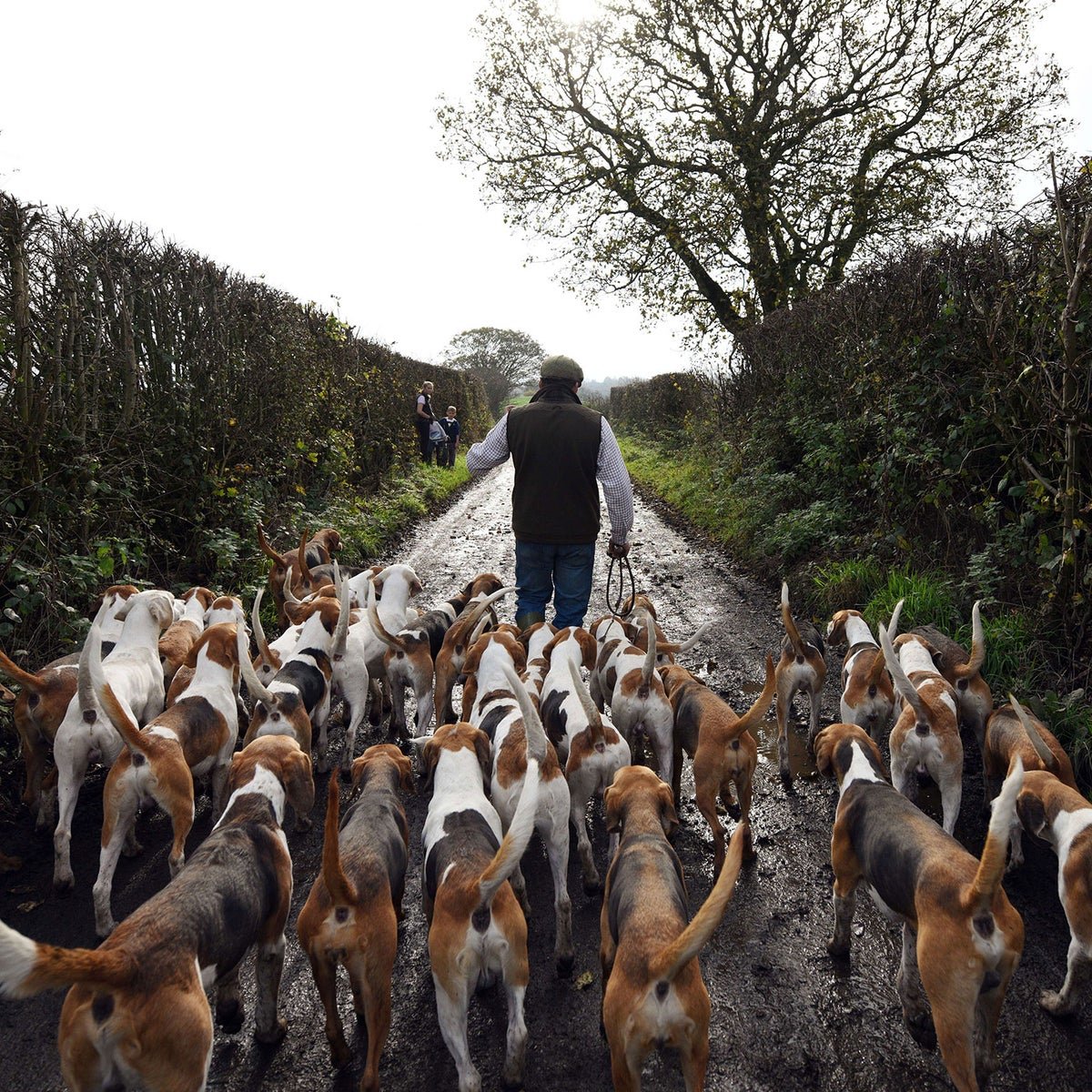 Jim Chimirie 🇬🇧 tweet media