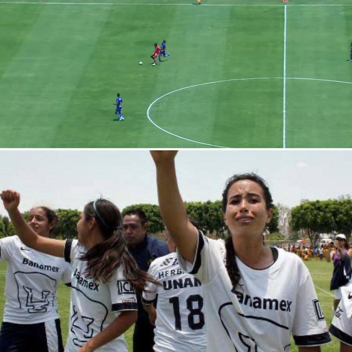 Ivan Tellez tweet media