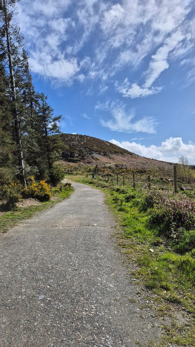 deric_tv's tweet image. Hike day #hiking #Ireland 🇮🇪🤩