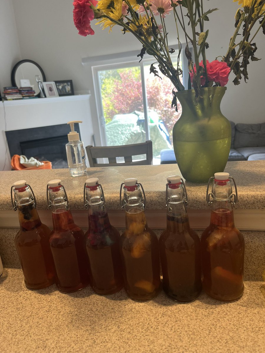 MeenShanta's tweet image. After all the money I’ve spent on #Kombucha I have decided to make my own!  #Strawberry #BlueberryLemon #Mango #Soursop #Cranberry