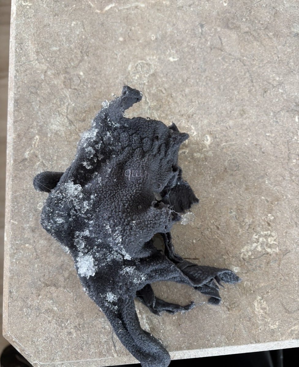 Oakley 🇨🇦 tweet media