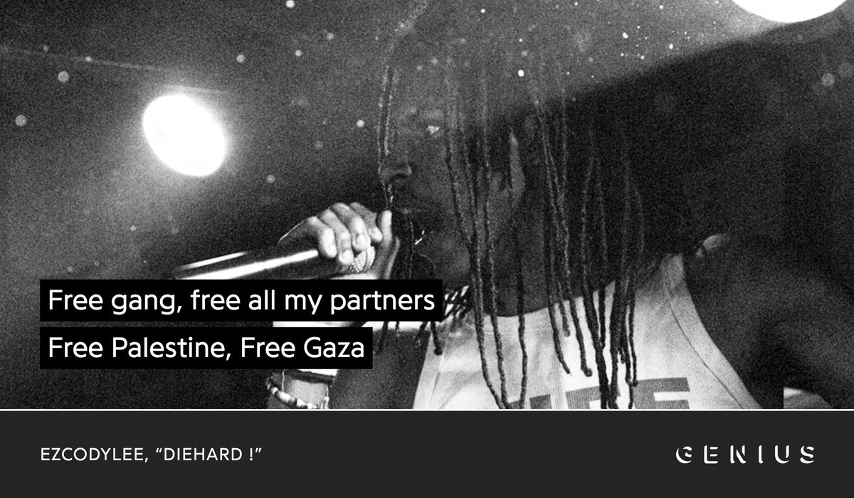 BACKLIGHT tweet media