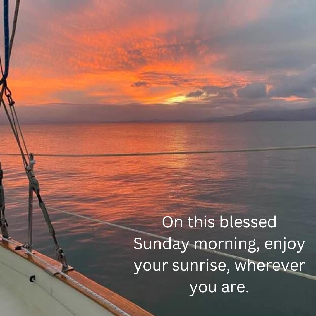 DrJimiFrancis's tweet image. Sunday invites us to slow down… and notice.

Not the noise. Not the to-do list.
But the quiet, steady goodness that’s already here.
Take a moment today to count your blessings—gently, without pressure.
The breath in your lungs.
The people you love.
The strength you’ve carried