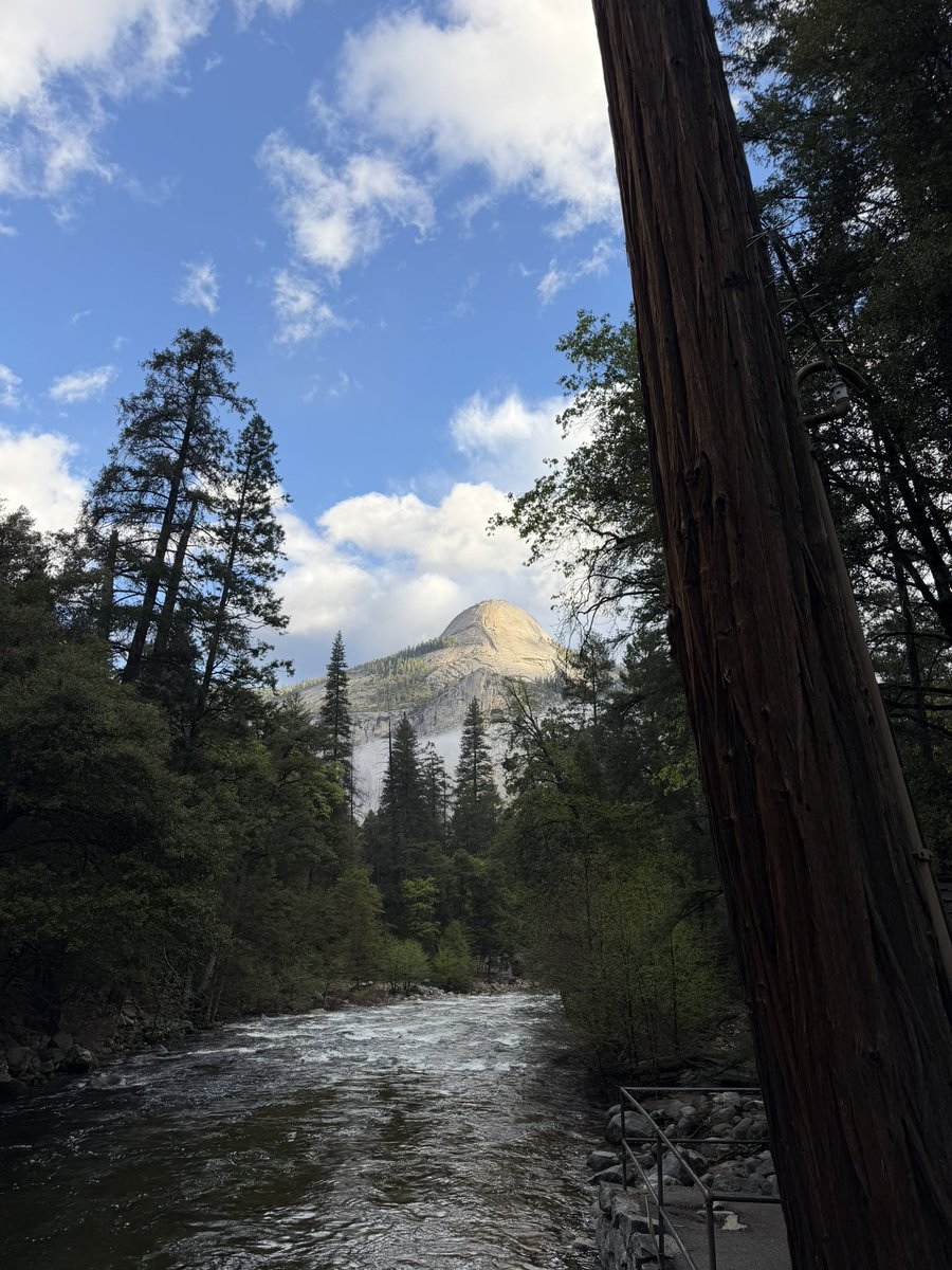 psinterludee's tweet photo. yosemite i love you so much https://t.co/8Phz9r6v2S