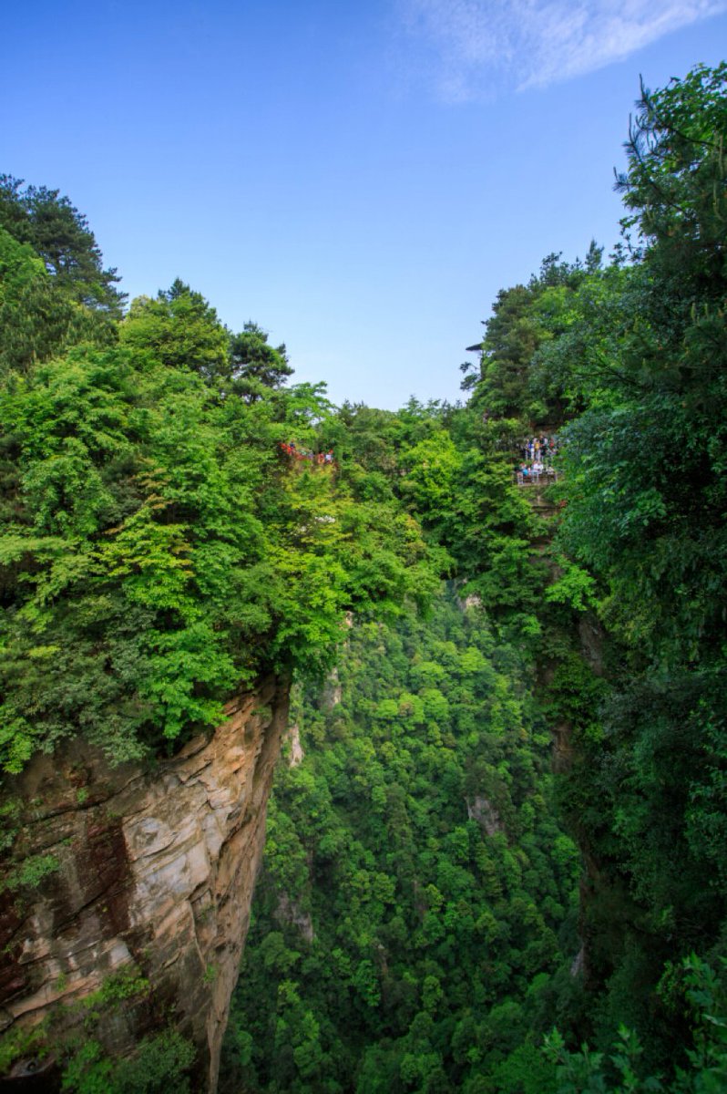 anthonyroberts tweet media