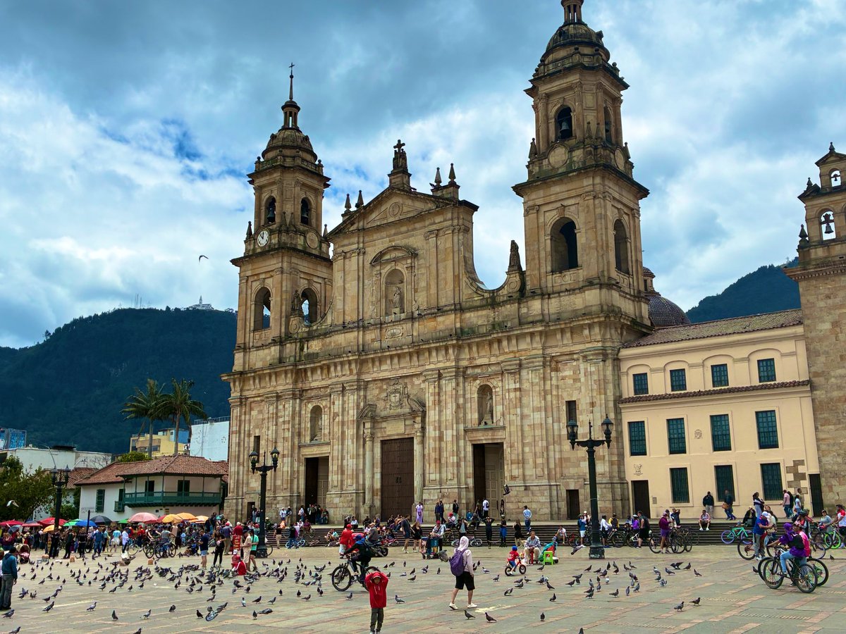 東カレおねえ医👸🌉 tweet media