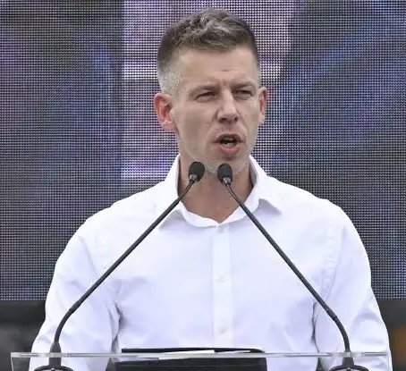 Tusk Vision Network tweet media