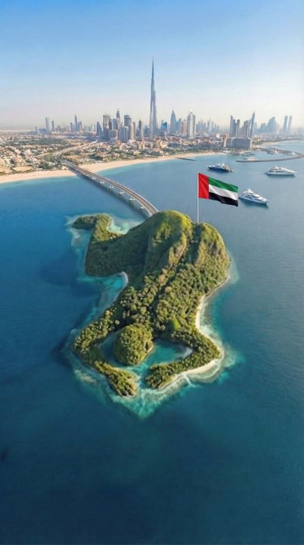 فهد العمور. tweet media