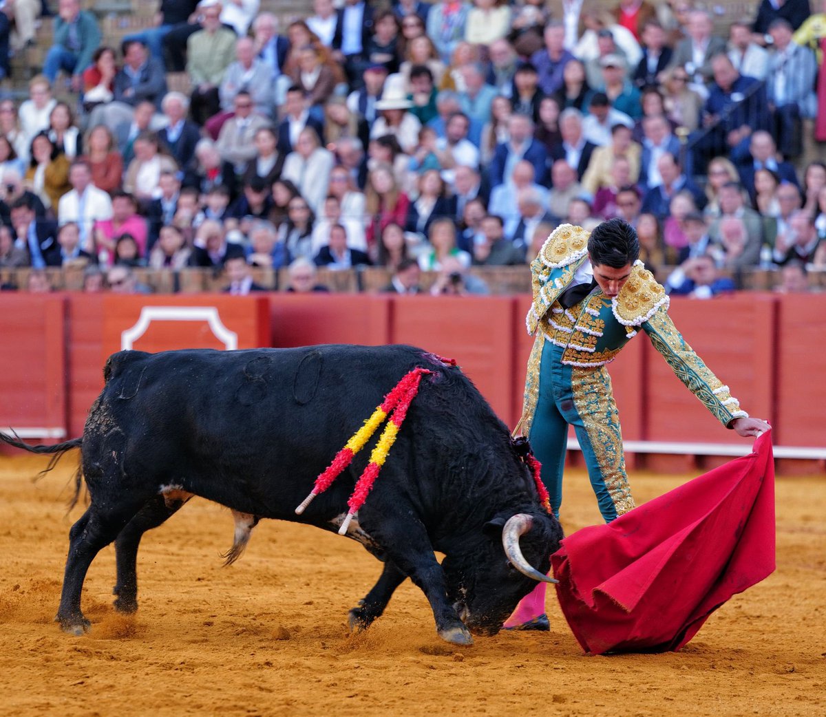 TorosenToledo tweet media