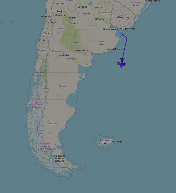 Adi el Grande tweet media