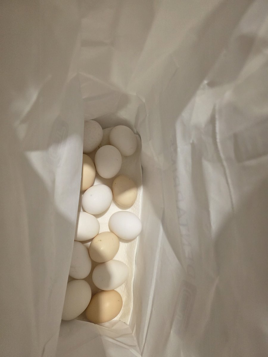 KATIE MAGNET ;💞🧲X🌳 tweet media