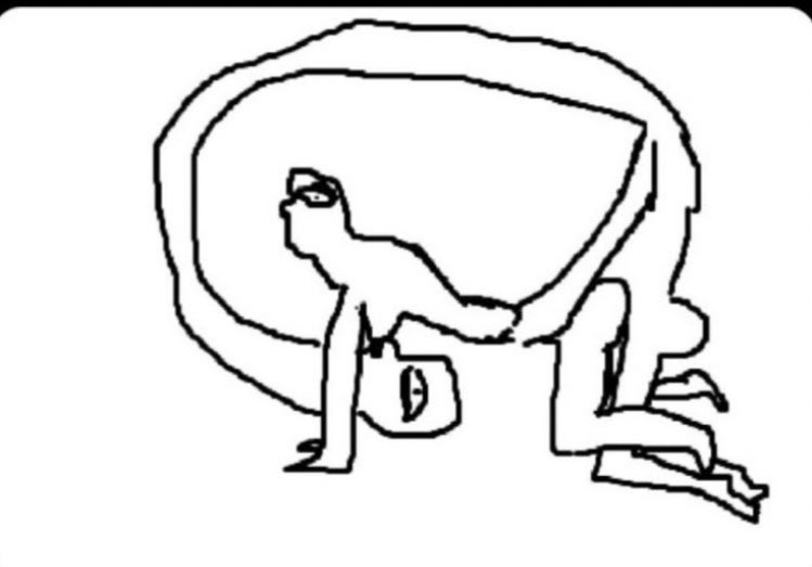 Shittu 🏛️🚀 tweet media