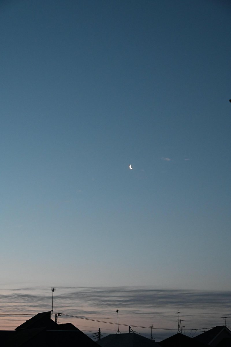 Ruriiro822416's tweet image. ･ﾟﾟ🌿おはようございます･ﾟﾟ*
　　　
　　　4月　13日  　月曜日

新しい週が来た∴*♪︎
?🤔𓂃𓈒𓏸

ひんやり~も
早朝だけ

水分補給
ﾑﾘｼﾃﾓ笑顔
で
今週も
まいりましょう　（´͈ ᵕ `͈ ꯁꯧ

#写真が好きな人と繋がりたい
 #photograph #ｷﾘﾄﾘｾｶｲ　
#いまそら　#祈り🥀

🚶‍♀️…*⌒♪︎