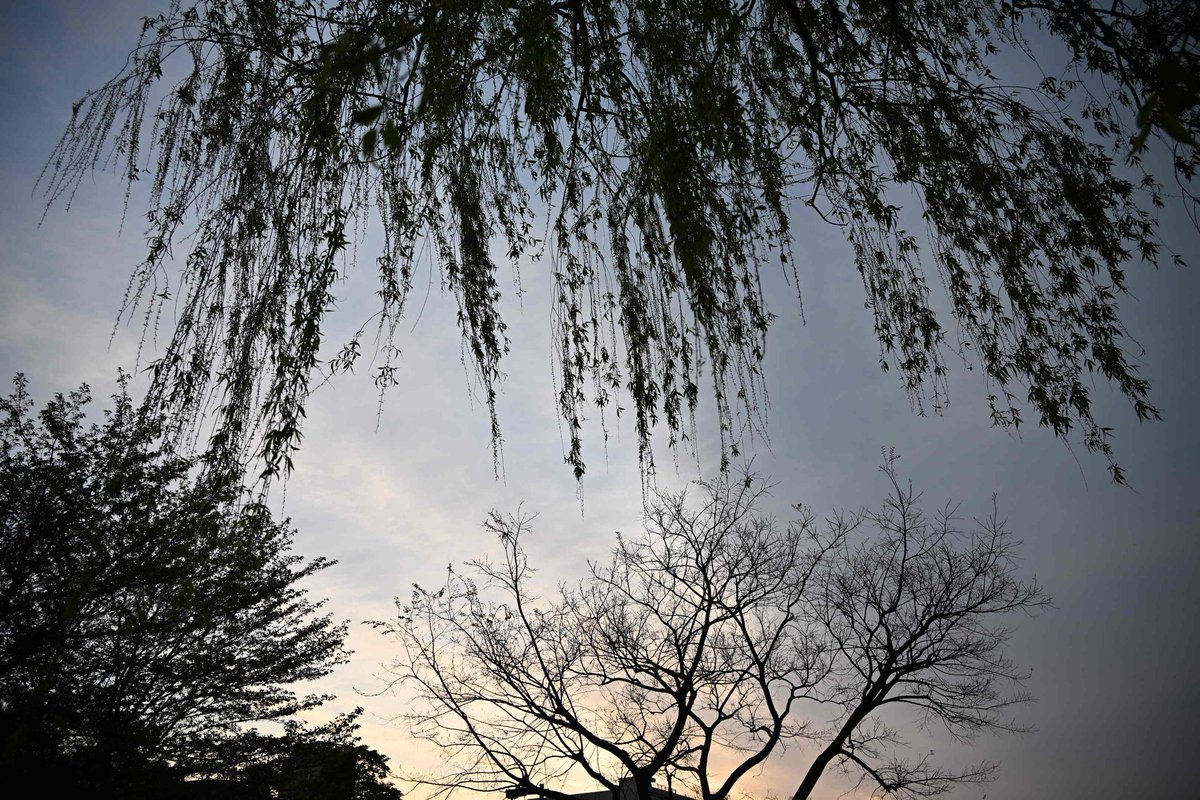 Ruriiro822416's tweet image. ･ﾟﾟ🌿おはようございます･ﾟﾟ*
　　　
　　　4月　13日  　月曜日

新しい週が来た∴*♪︎
?🤔𓂃𓈒𓏸

ひんやり~も
早朝だけ

水分補給
ﾑﾘｼﾃﾓ笑顔
で
今週も
まいりましょう　（´͈ ᵕ `͈ ꯁꯧ

#写真が好きな人と繋がりたい
 #photograph #ｷﾘﾄﾘｾｶｲ　
#いまそら　#祈り🥀

🚶‍♀️…*⌒♪︎