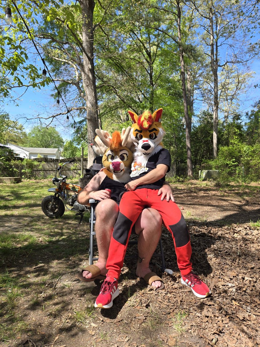 Aloy_Deer 🦌 tweet media