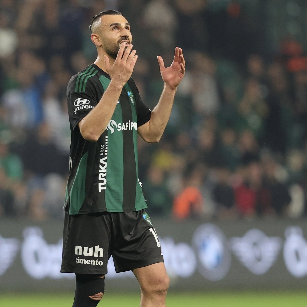 Pusholder tweet media