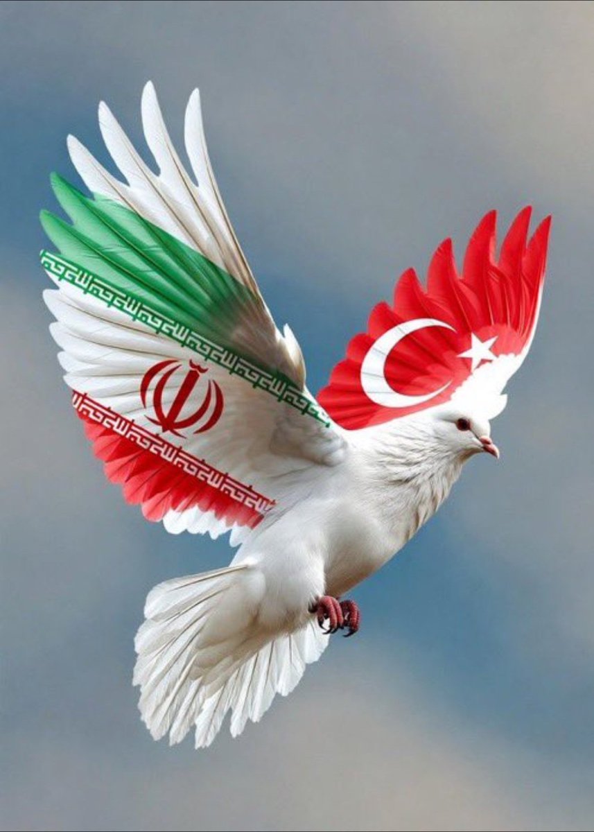 MiddleEast Live tweet media