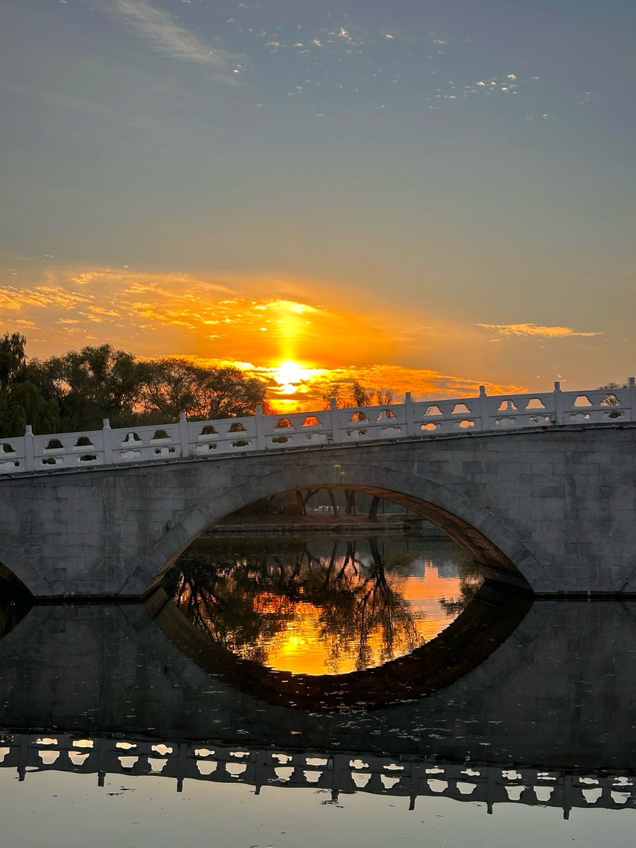 Bobby Andres tweet media