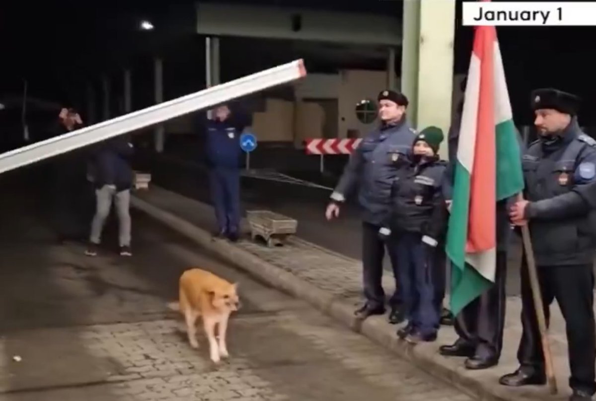 Kat🇻🇪🇦🇷🇺🇦🇸🇾🇬🇪🇵🇸🇨🇺🇲🇲🇮🇷🇸🇩🇹🇼 tweet media