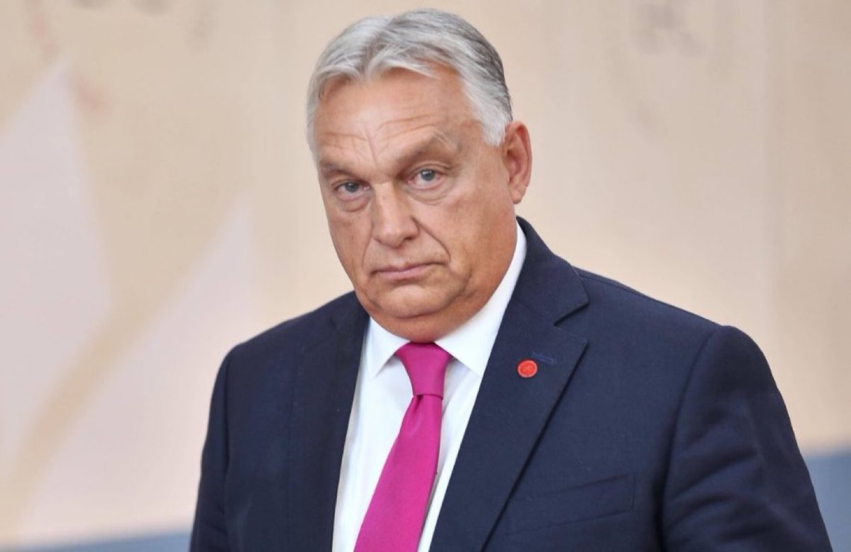 海阔天空 tweet media