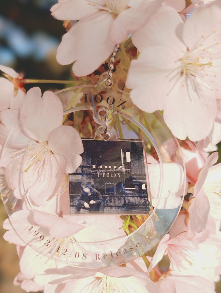gegOkWs2PT42883's tweet photo. 昨日桜を見に散歩してきました
淡いピンク色の桜が🌸.*゚
ほんのり水色の空に映えて🩵.*゚とっても綺麗でした✨️.*゚
桜全体の花言葉は✨︎精神の美✨︎
#TBOLAN #LOOZ #さくら https://t.co/a7NPePyHTj