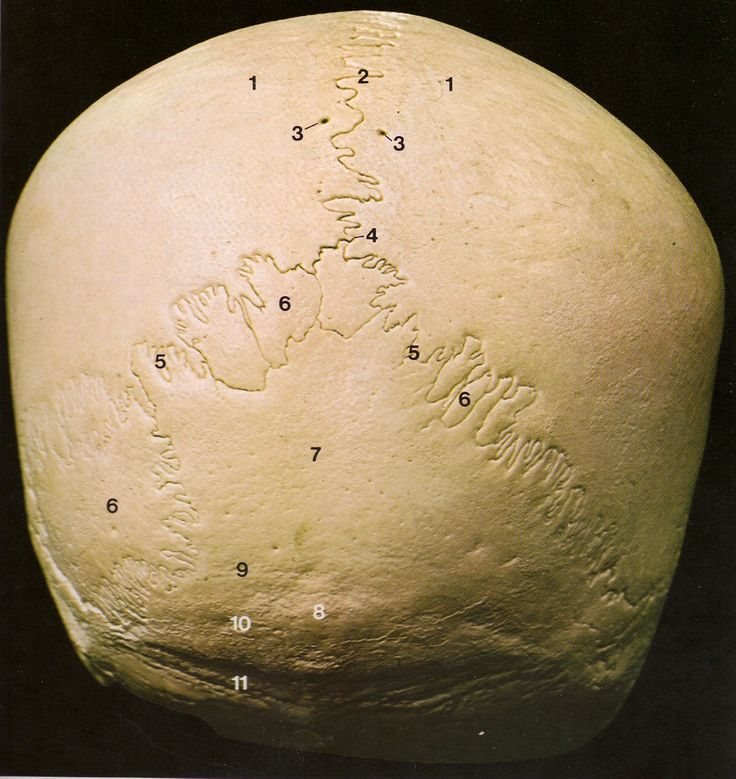 𝓜𝓲𝓼𝓼 𝓟𝓪𝓷𝓸𝓹𝓽𝓲𝓬𝓸 tweet media