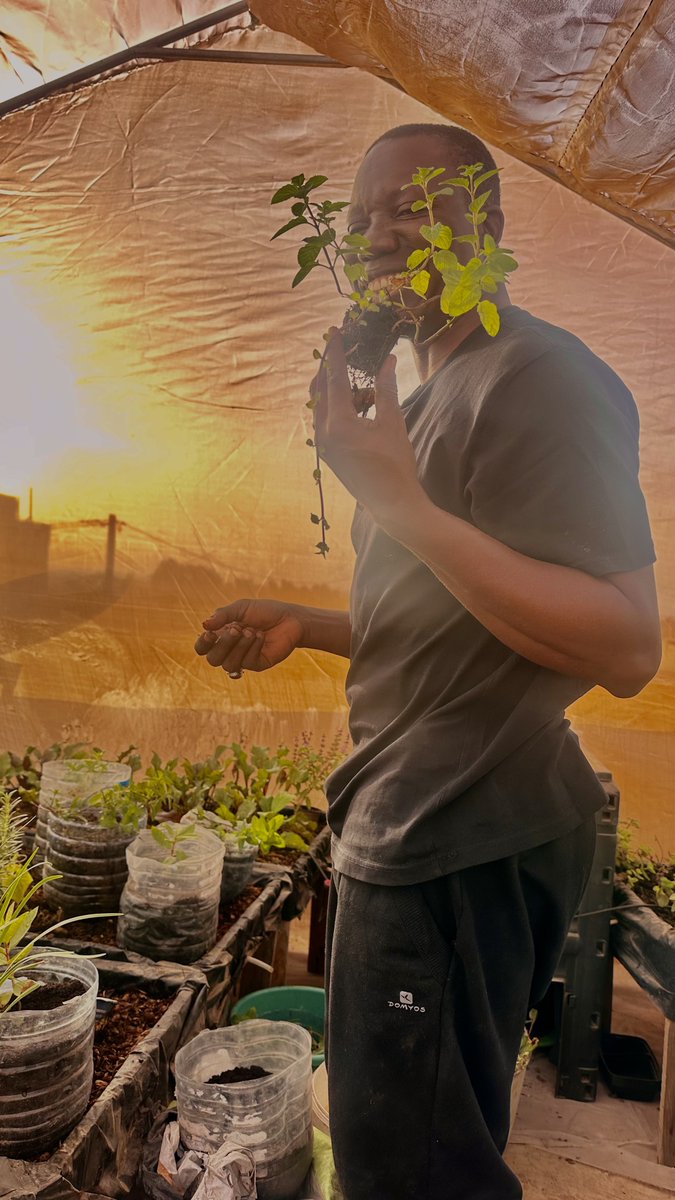 🇸🇳Abdou Touré🏆⭐️⭐️ tweet media
