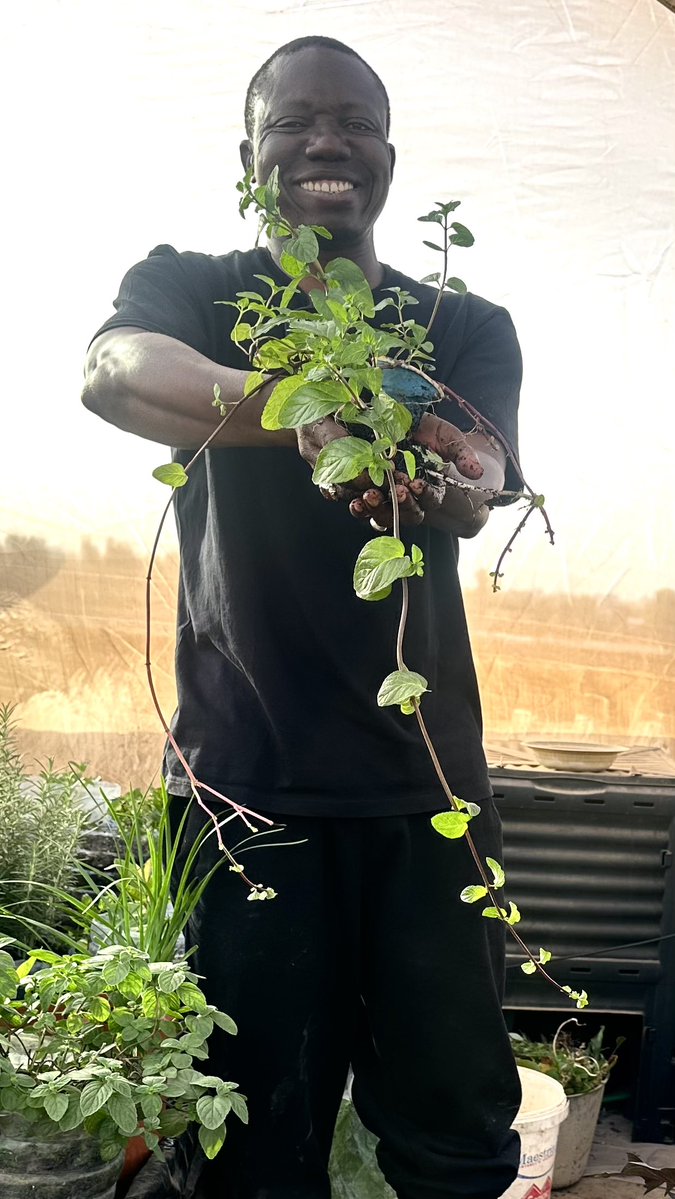 🇸🇳Abdou Touré🏆⭐️⭐️ tweet media