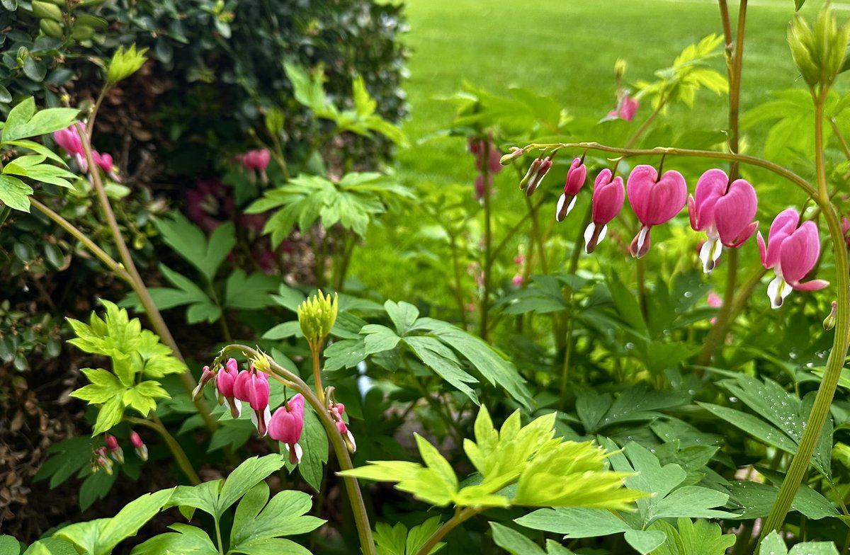 The challenging seasons of life look hopefully to the returning beauty of Spring...