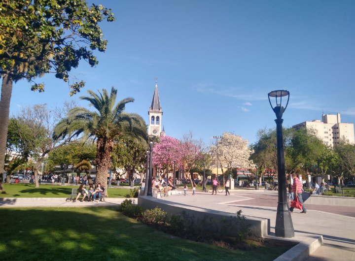 furry con journalist tweet media