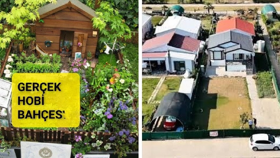 @𝙈𝙀𝙏𝙀𝙃𝘼𝙉 🇹🇷 tweet media