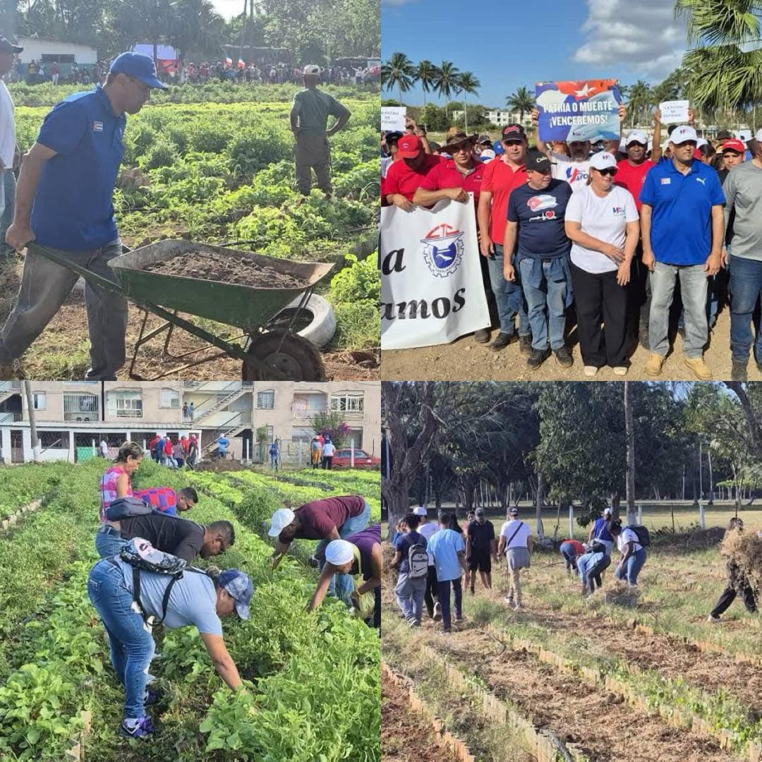 Livan Izquierdo Alonso tweet media