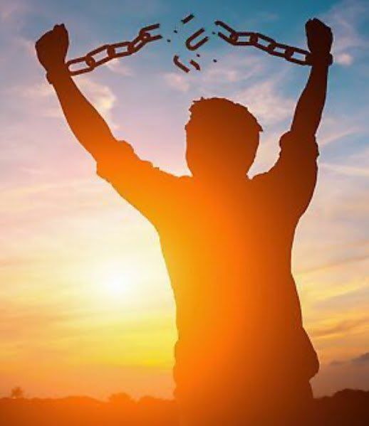 serendipitous tweet media