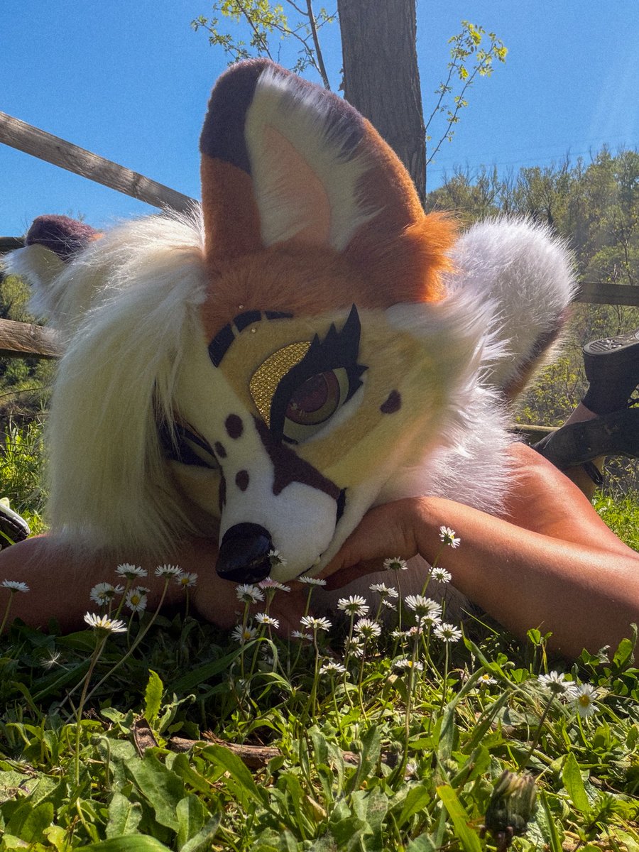 LunariFox tweet media