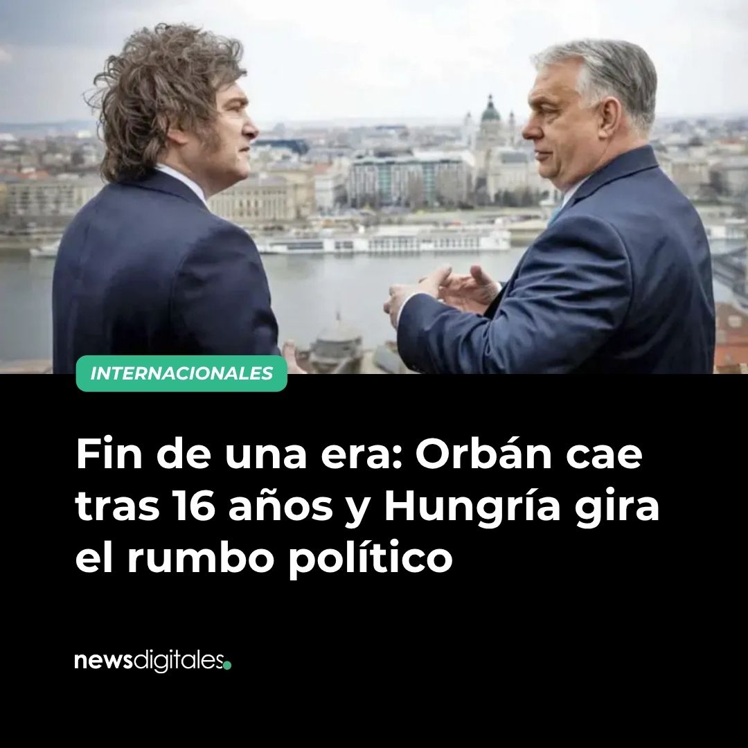NewsDigitales tweet media