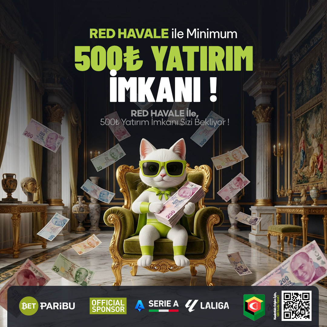 Oyuncu Kedi tweet media