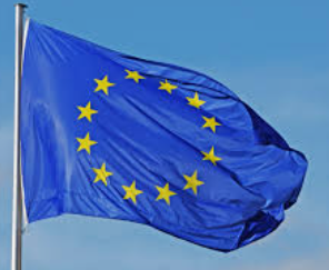 Cathy Miller 4 tweet media